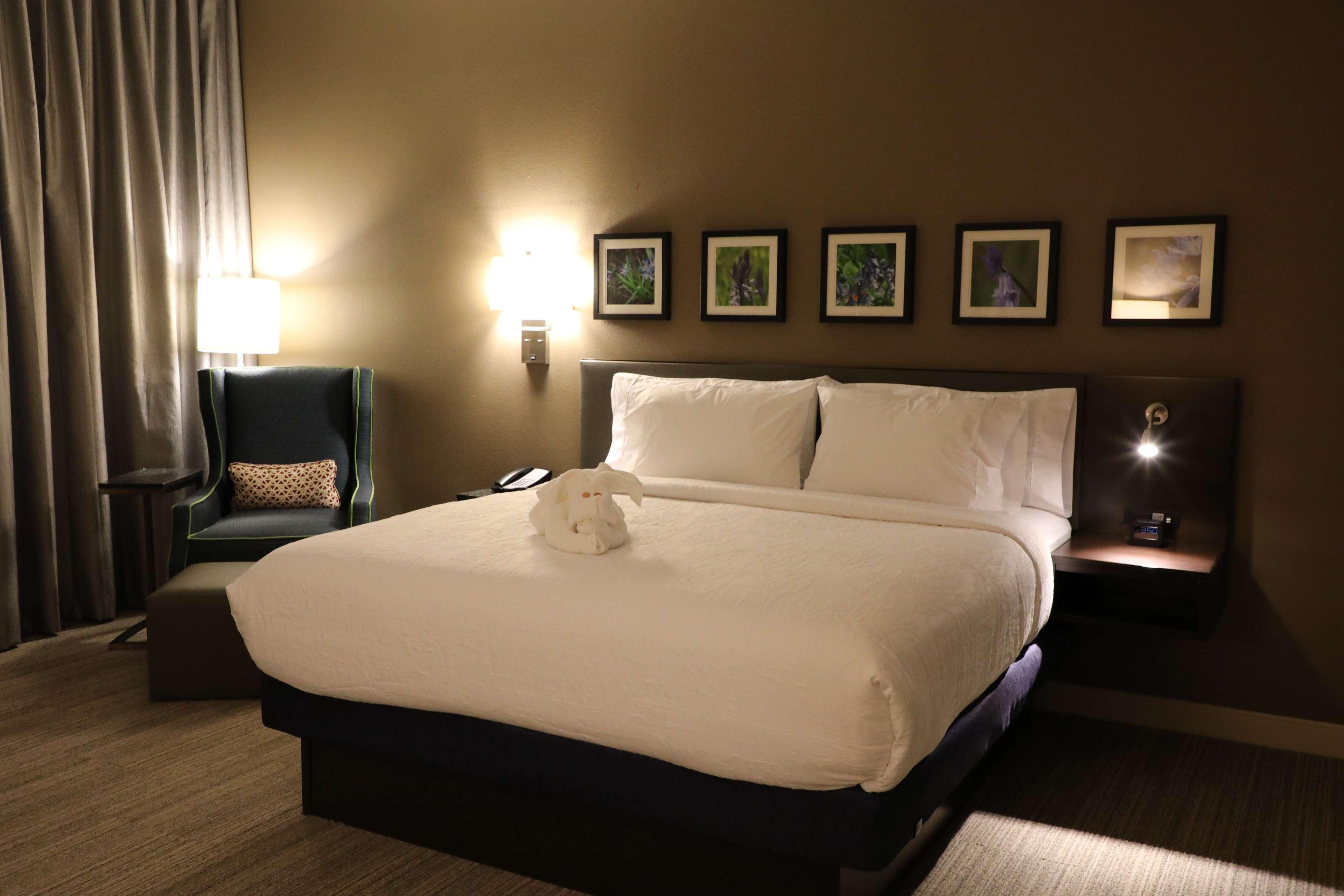Hilton Garden Inn Austin Airport Экстерьер фото