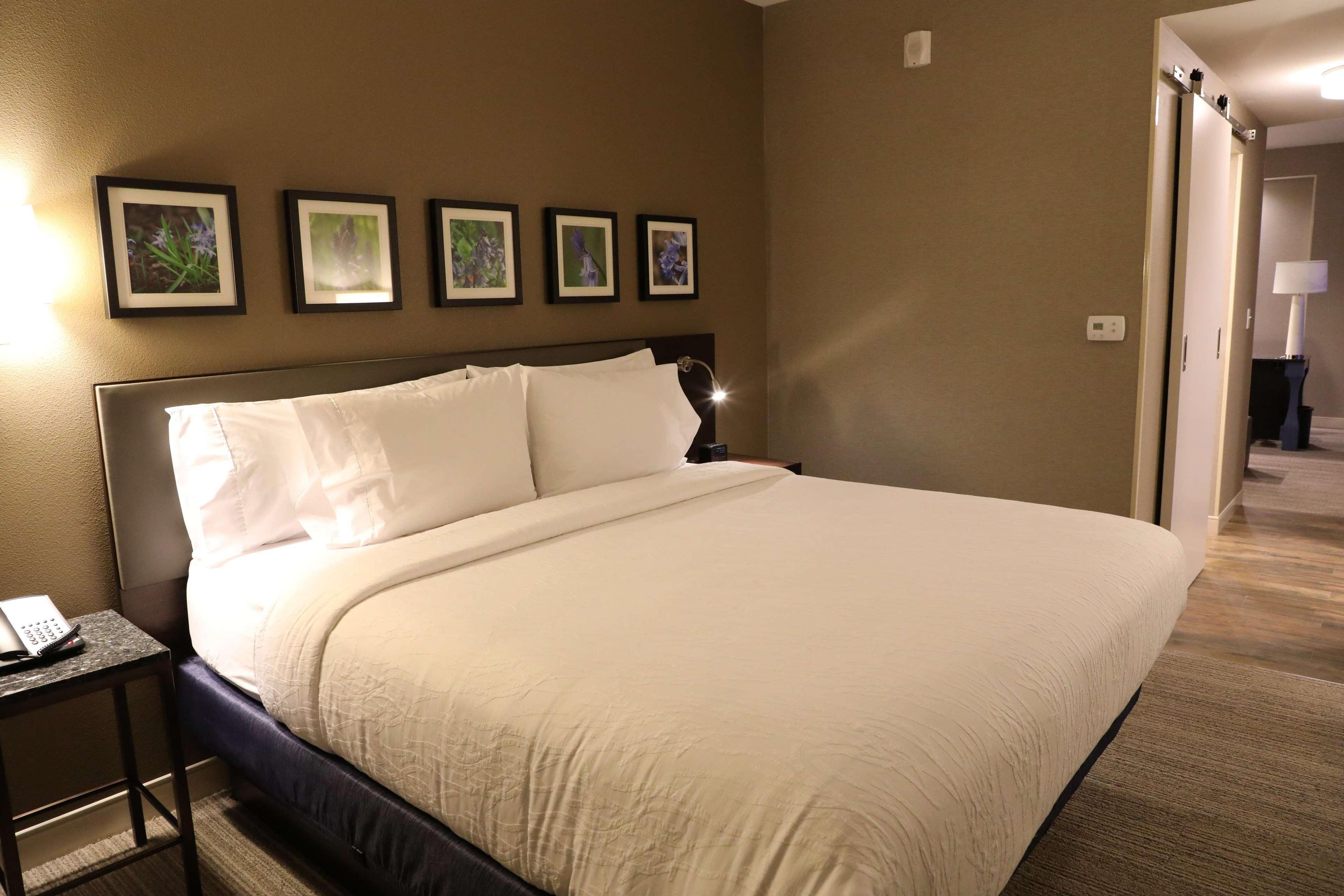 Hilton Garden Inn Austin Airport Экстерьер фото